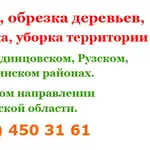 Спил деревьев,  вырубка деревьев,  обрезка деревьев,  расчистка участка