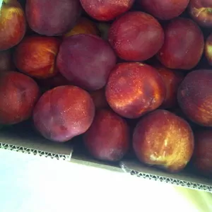 Персик,  Нектарин и другие фрукты из Италии