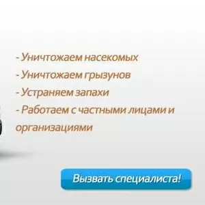  Компания СЭС-1 предлагает услуги по уничтожению грызунов и насекомых.