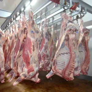 Оптовые поставки мяса со своего производства.