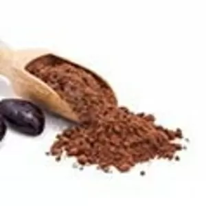 Какао-порошок алкализованный высшего качества (Испания)