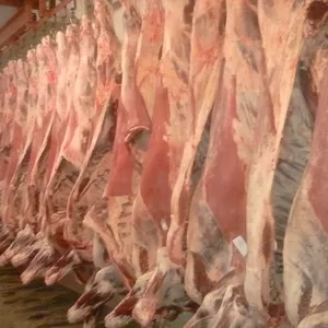 Мясо говядины оптом с доставкой по России