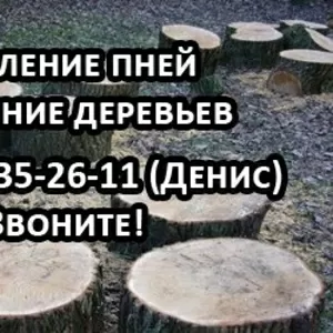 Удаление пней и деревьев,  работают профессионалы