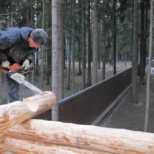 Строительство деревянных домов. Мастерами из Архангельска.