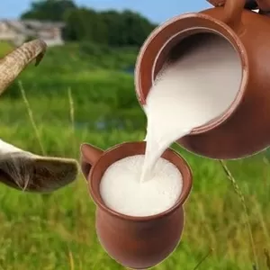 Парное козье молоко из деревни