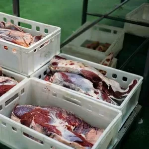 Производство говядины,  свинины. Продажа мяса цб