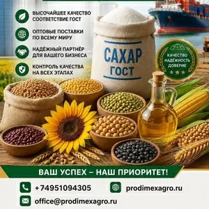 Сахар ГОСТ,  зерновые,  бобовые и масличные культуры оптом на экспорт