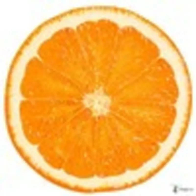 Предлагаем апельсин Валенсия из Египта
