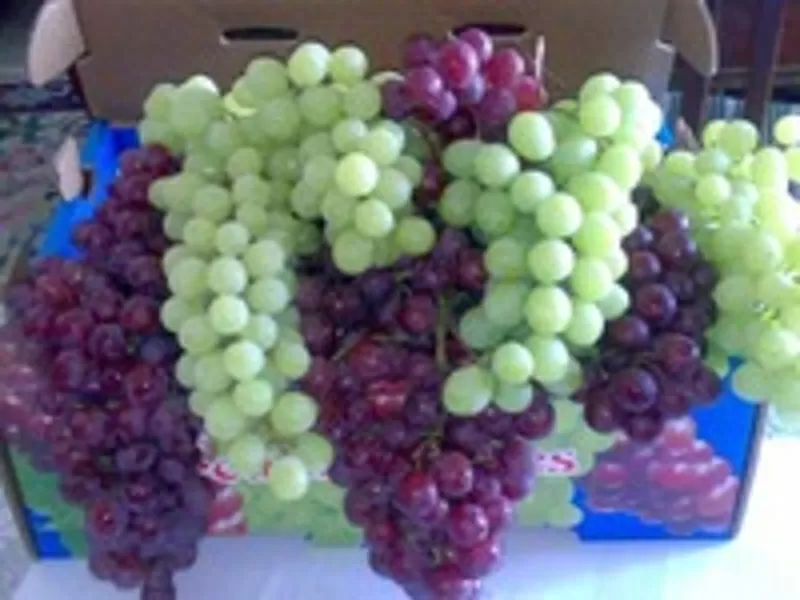Предлагаем виноград из Египта