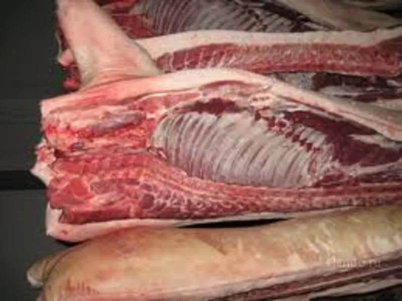 Мясо (говядина и свинина 1 категориии) по низким ценам