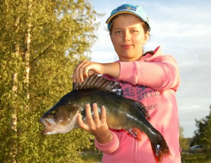Финляндия: коттеджи на берегу озера,  отличная рыбалка. 2