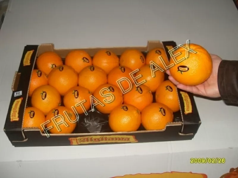 Апельсины из Испании 2