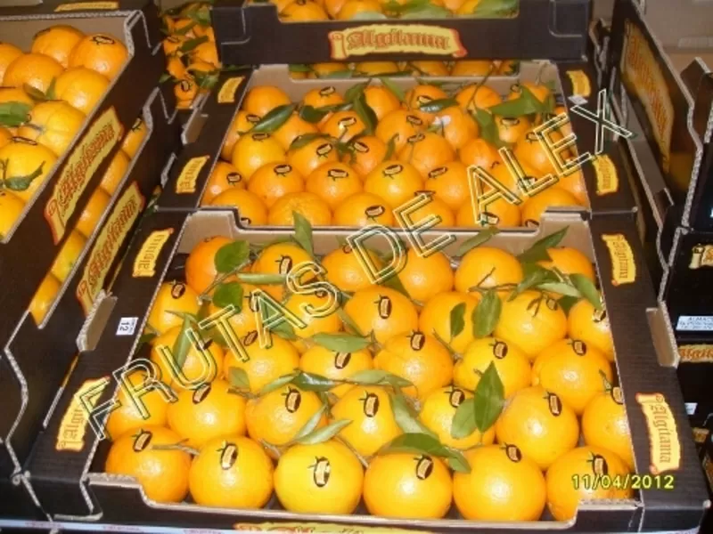 Апельсины из Испании 3