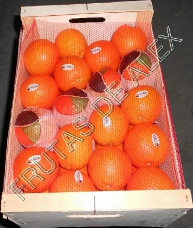 Апельсины из Испании 4