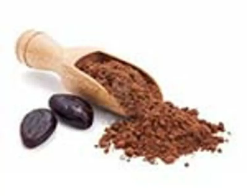 Какао-порошок алкализованный высшего качества (Испания)