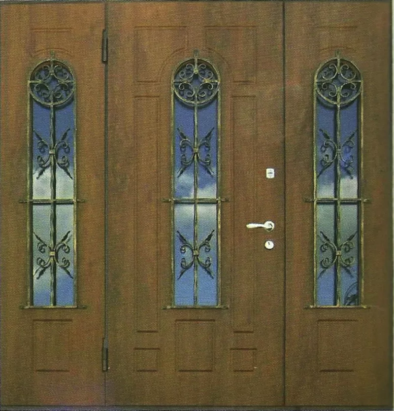 Металлические входные двери,  навесы,  кованые изделия 2