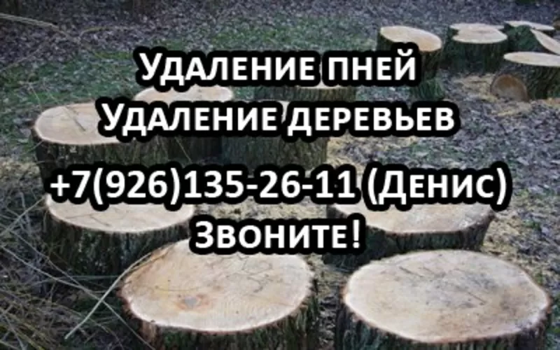 Удаление пней и деревьев,  работают профессионалы