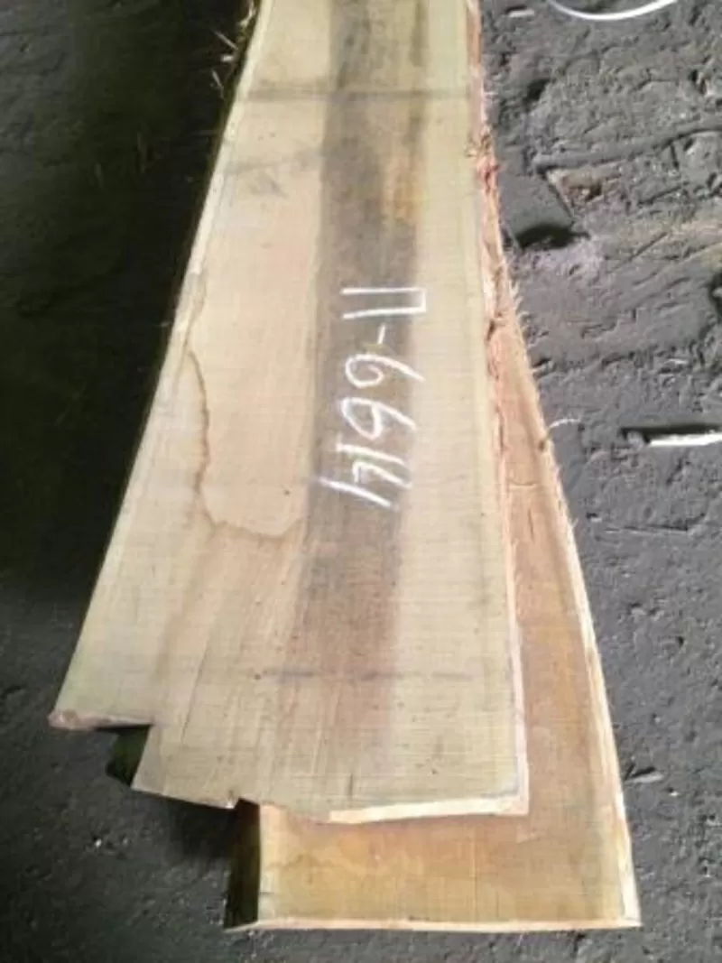 Пиломатериалы из ценных и хвойных пород древесины 4