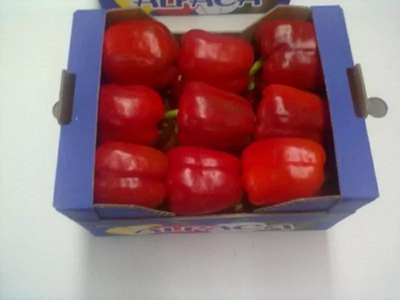 томаты, огурцы, перец, баклажан непосредственно из Испании  8