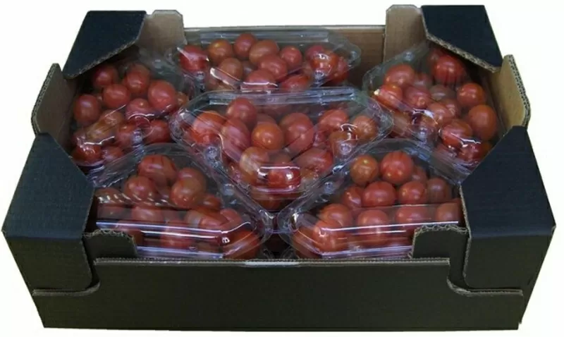 томаты, огурцы, перец, баклажан непосредственно из Испании  14