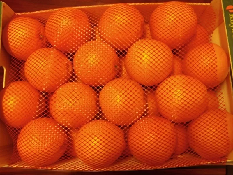 Апельсины Испанские