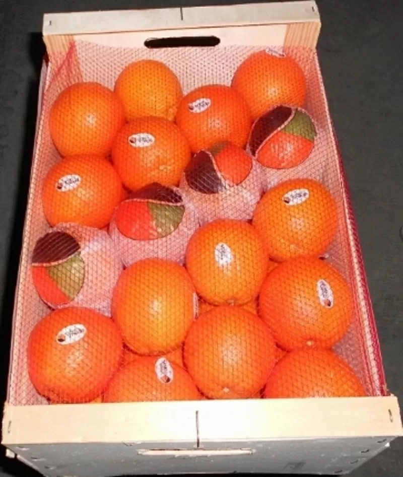 Апельсины Испанские 3