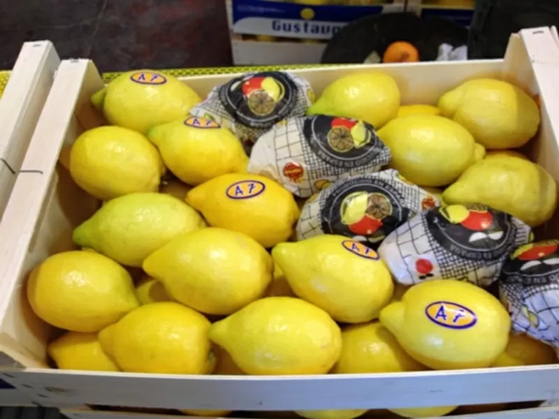 Испанские Лимоны 4