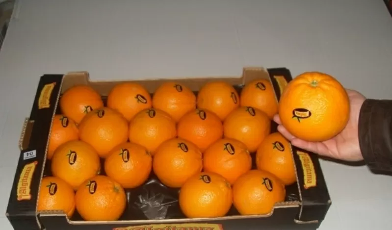 Апельсины Испанские 4