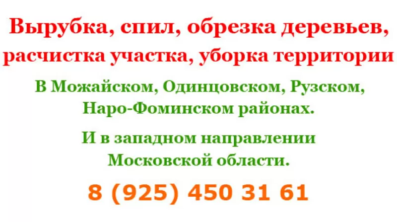 Спил деревьев,  вырубка деревьев,  обрезка деревьев,  расчистка участка