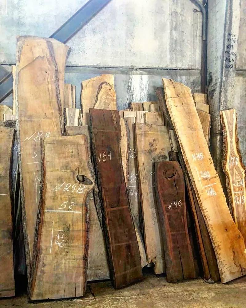 СЛЭБЫ различных пород древесины