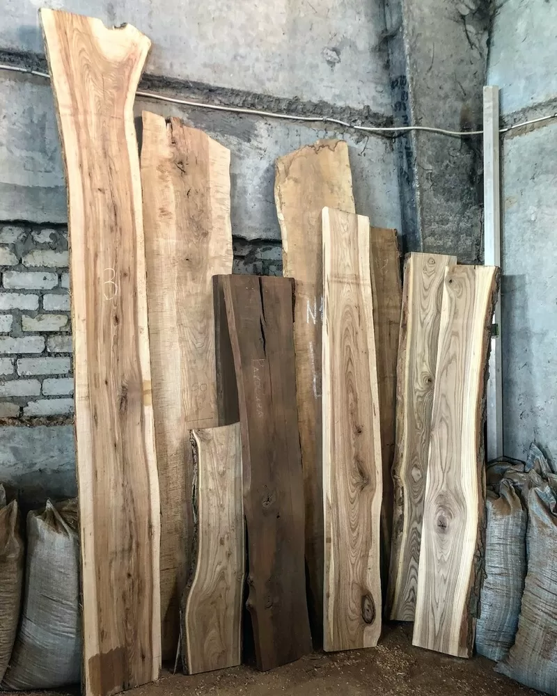 СЛЭБЫ различных пород древесины 4