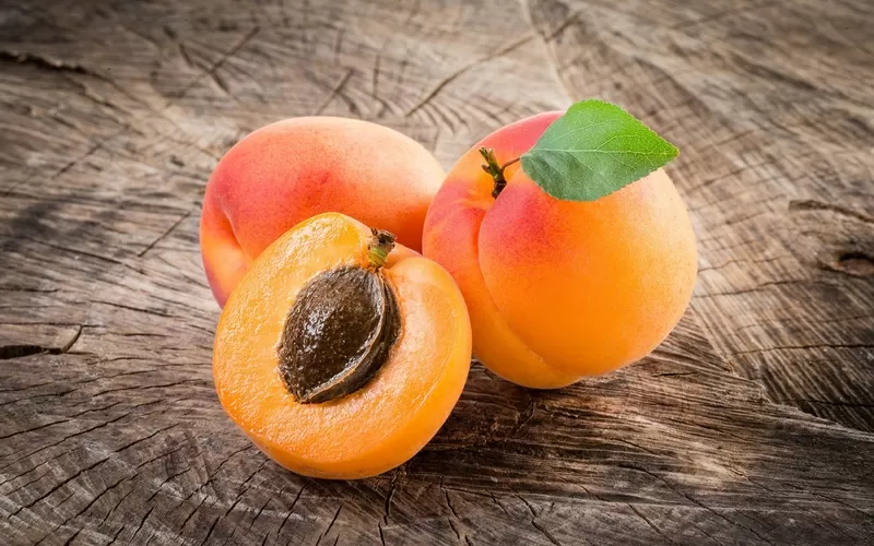 Крупномеры абрикоса недорого от производителя 3