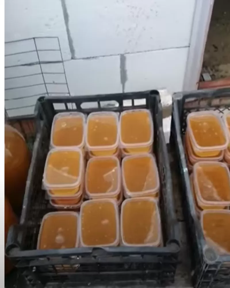 Мед от производителя оптом со склада в Москве