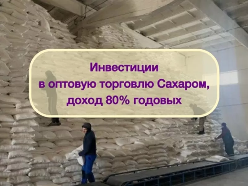 Инвестиции в оптовую торговлю Сахаром,  доход 80%