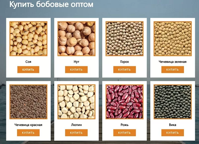 ООО Агропром - оптовая реализация продуктов питания экспорт 2