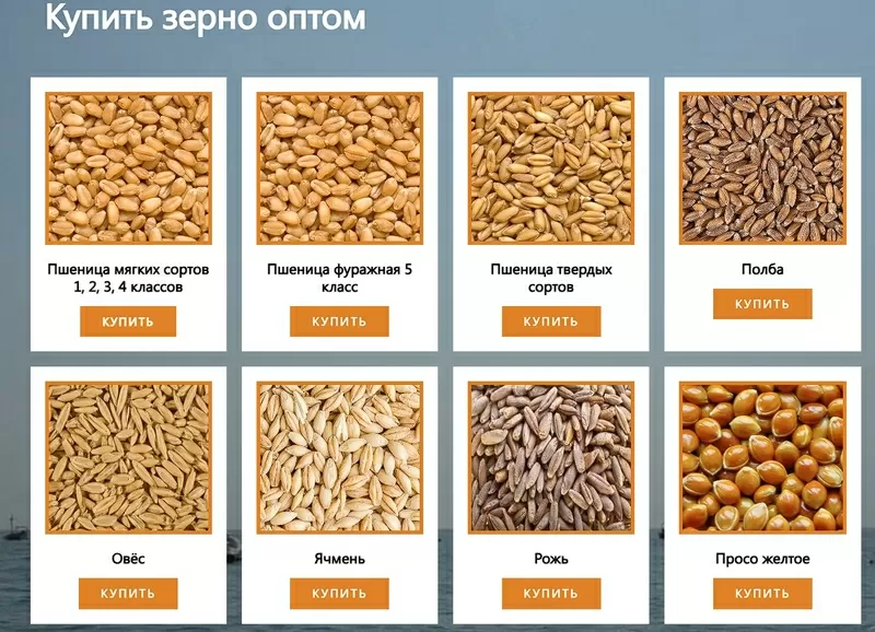 ООО Агропром - оптовая реализация продуктов питания экспорт 4