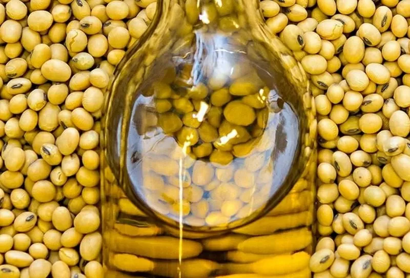Продажа масла соевого оптом от производителя 2